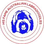 His Fame Australian Labradoodles
