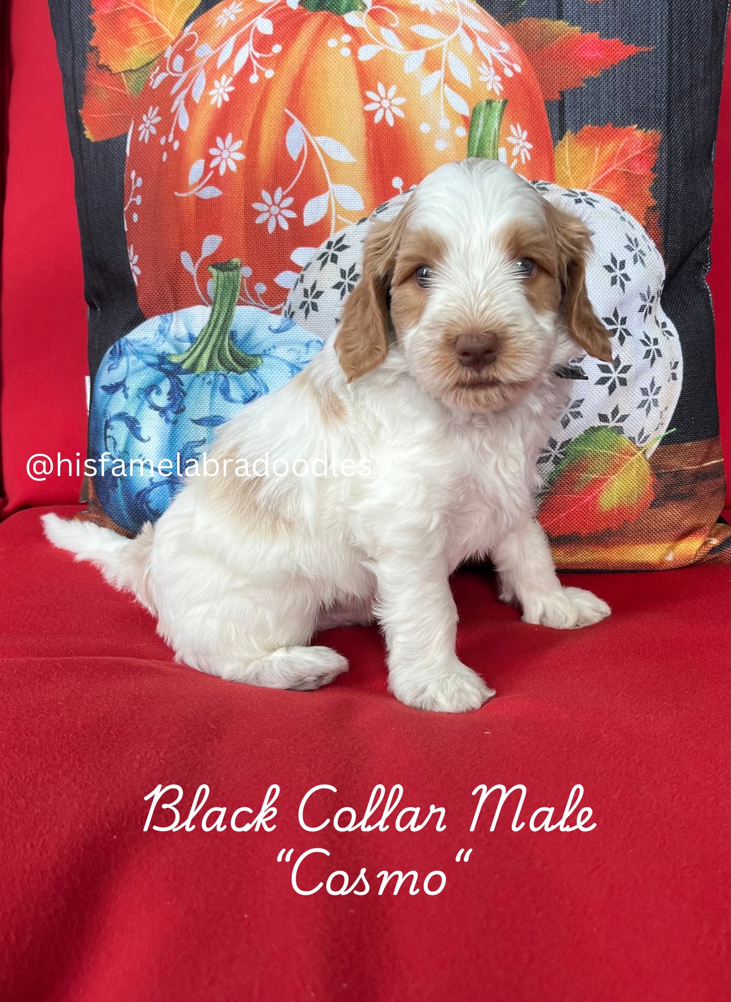 Add a subheading (2)