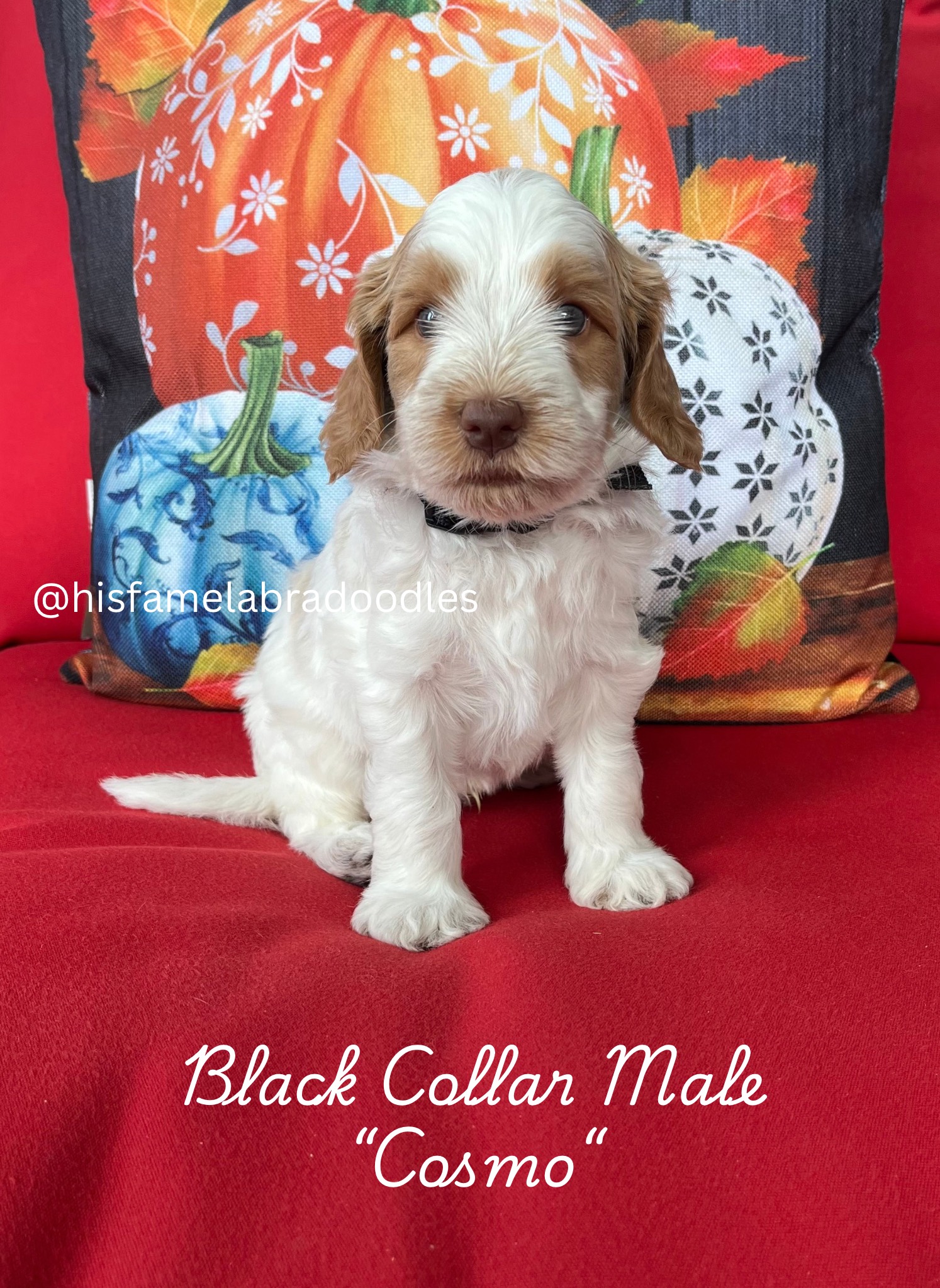 Add a subheading (3)