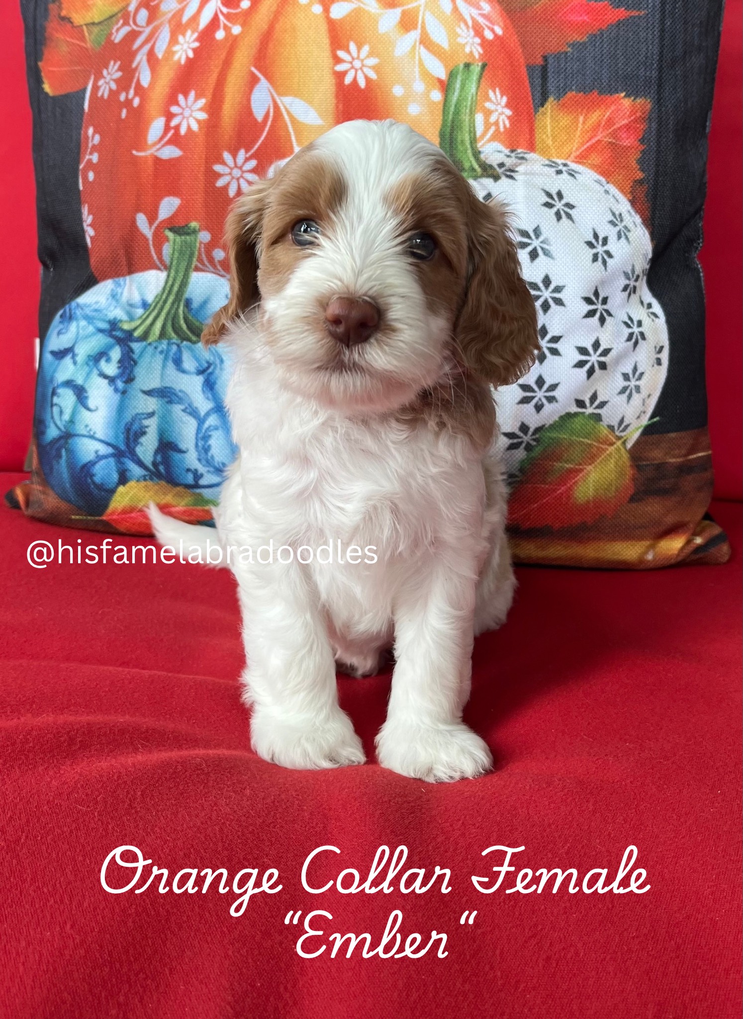 Add a subheading (4)