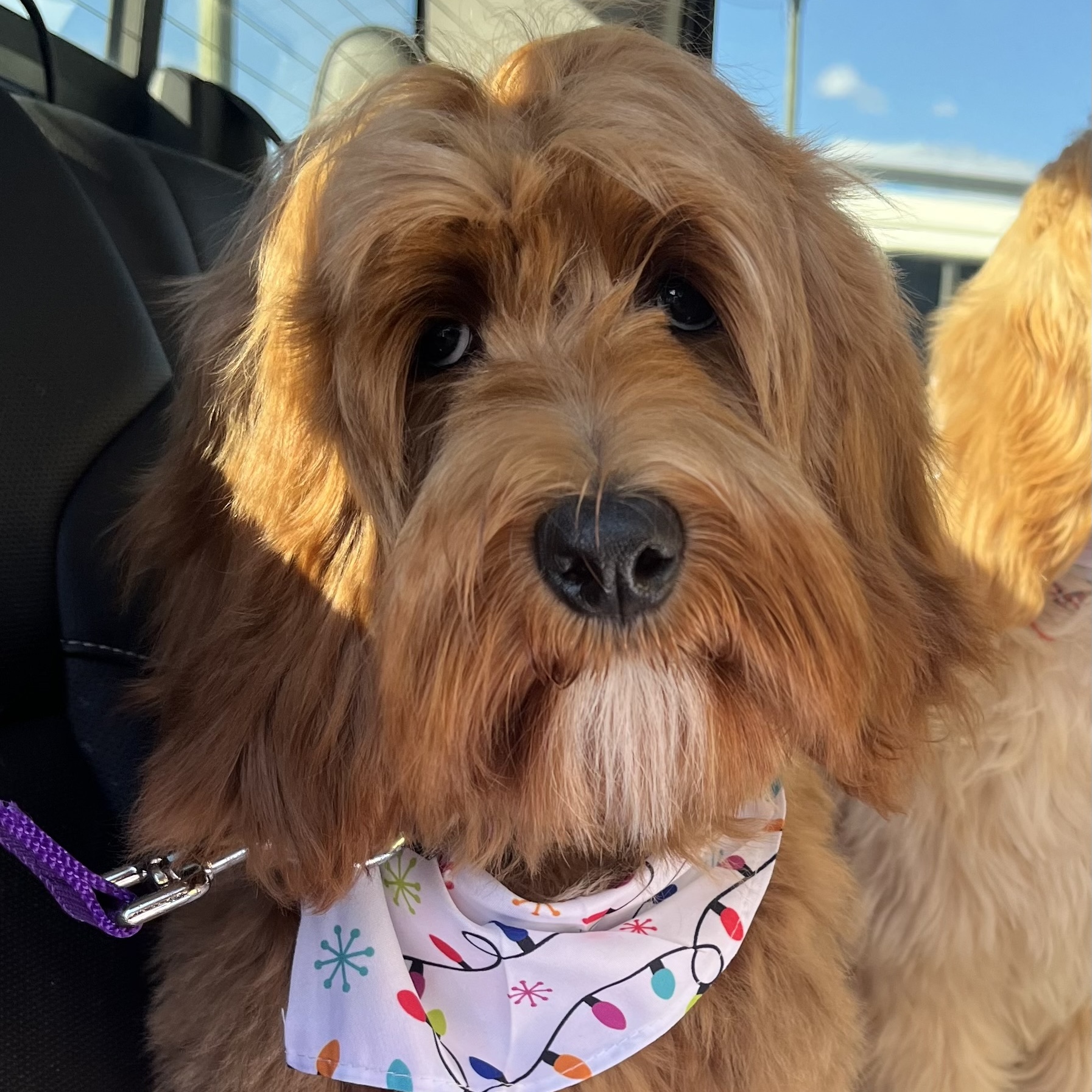 maddison redd maddie