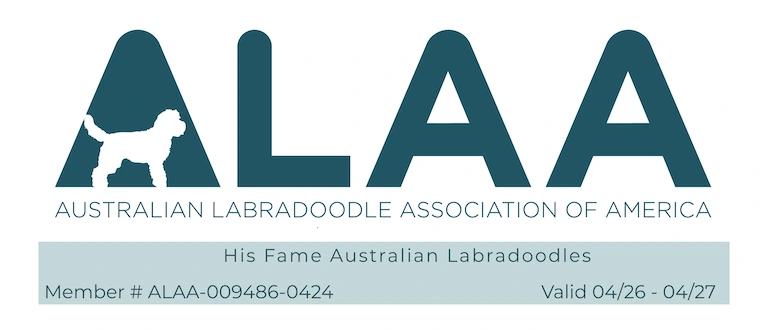 ALAA logo